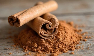 Ramas de canela y polvo